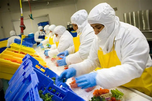 La Cultura de Inocuidad en las Empresas: Una Estrategia Competitiva en el Mercado