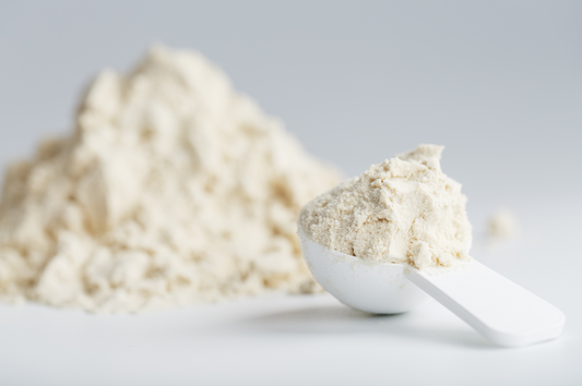 Guía práctica para el uso del suero de leche en la producción de alimentos